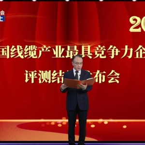 賡續(xù)卓越  勇毅前行——縱覽線纜集團(tuán)再次榮獲2022中國(guó)線纜行業(yè)最具競(jìng)爭(zhēng)力100強(qiáng) ...